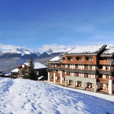 Skis Aux Pieds Avec Terrasse, Animaux Admis - Fr-1-181-2358 La Plagne-Tarentaise